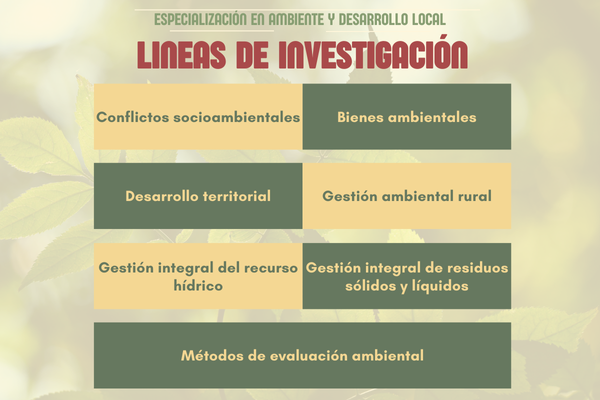 Imagen decorativa : Líneas de investigación