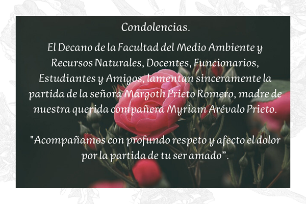 Imagen decorativa