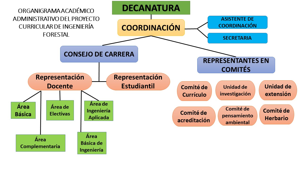 Organigrama