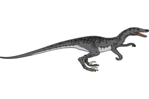 RAPTOR es un entorno de programación basado en diagramas de flujo, diseñado específicamente para ayudar a los estudiantes a visualizar sus algoritmos y evitar la complejidad sintáctica. Los programas de RAPTOR se crean y ejecutan visualmente, siguiendo el proceso a través del diagrama de flujo.