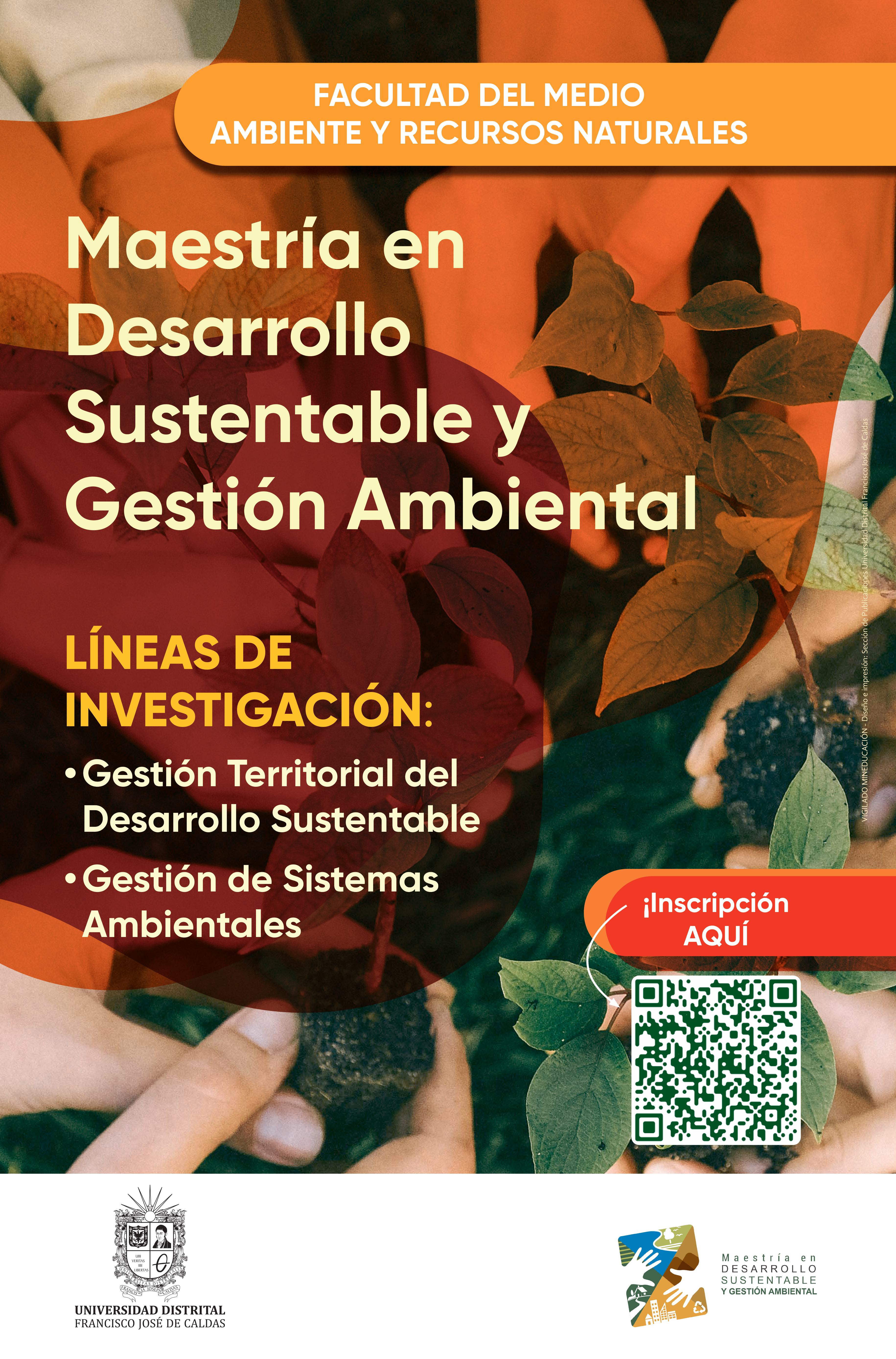 Imagen decorativa : Líneas de investigación