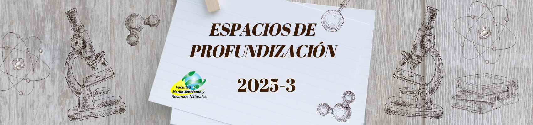 EspaciosProfundizacion