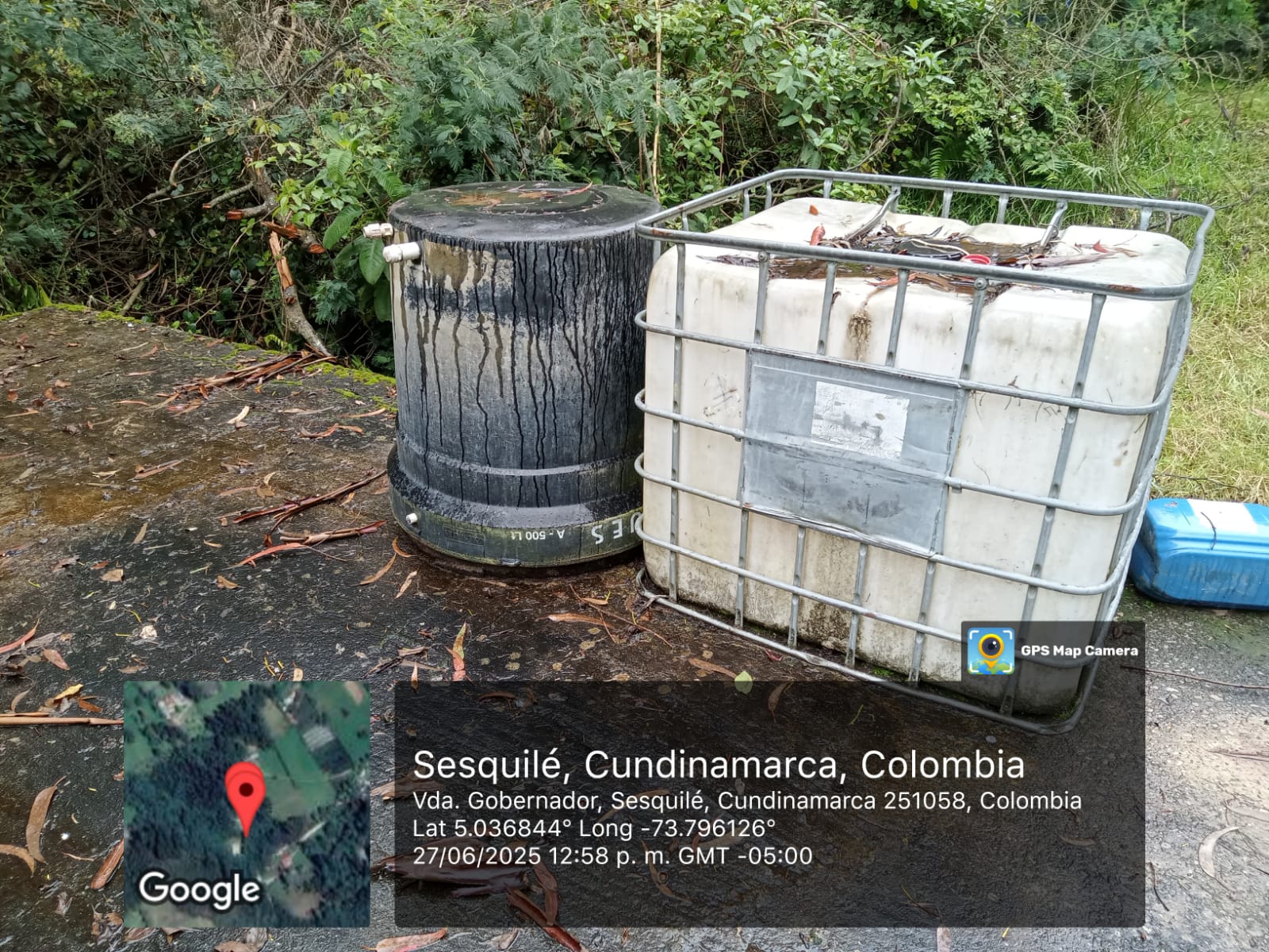 Galeria: 