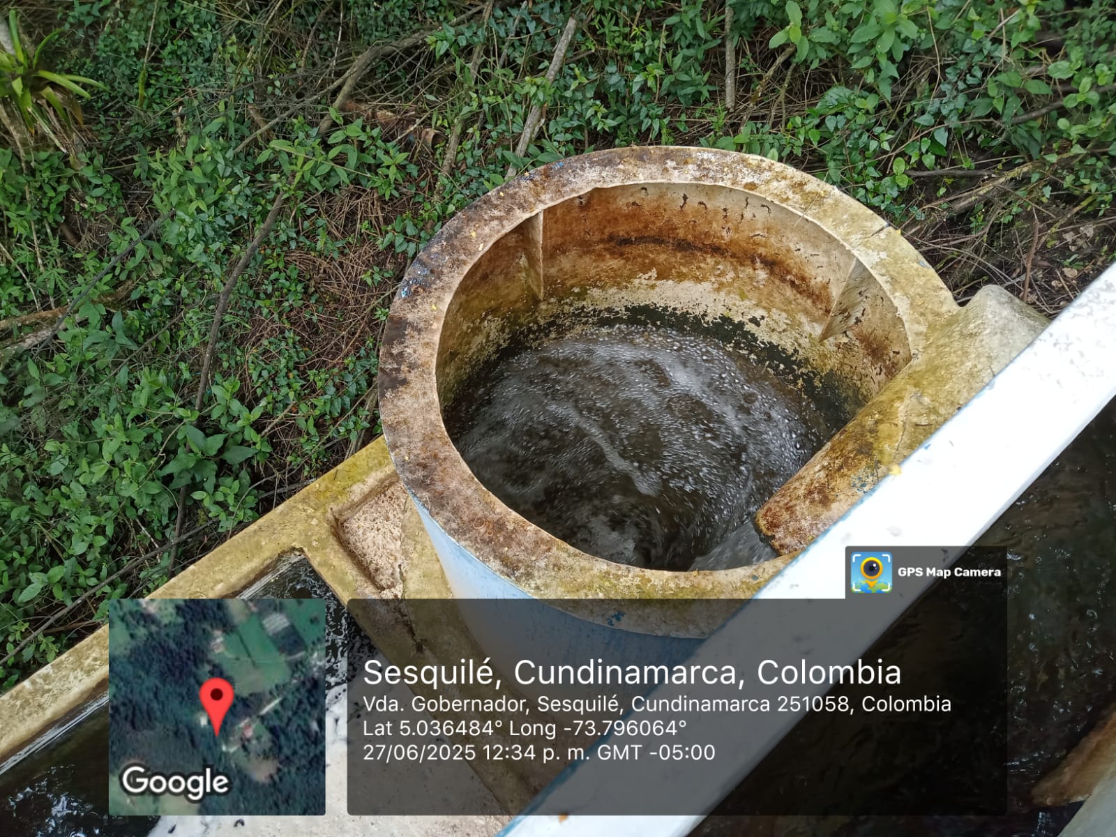 Galeria: 