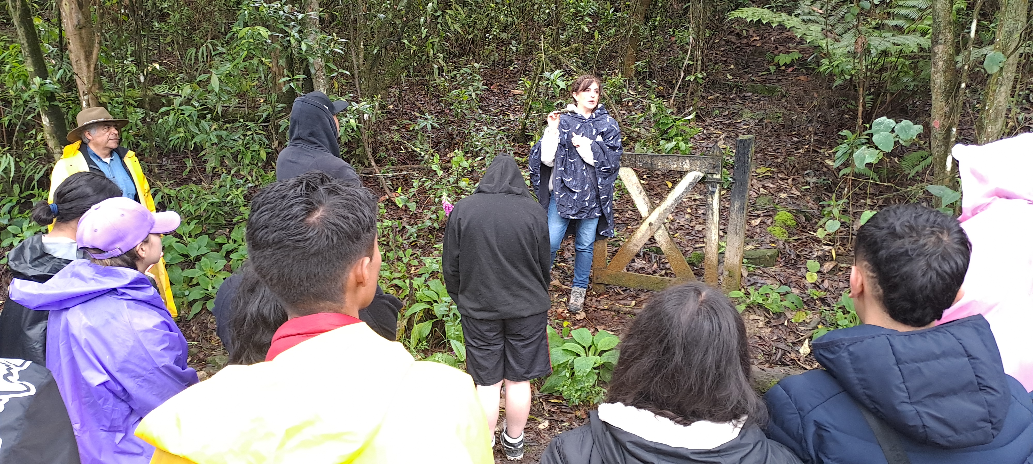 Galeria: 