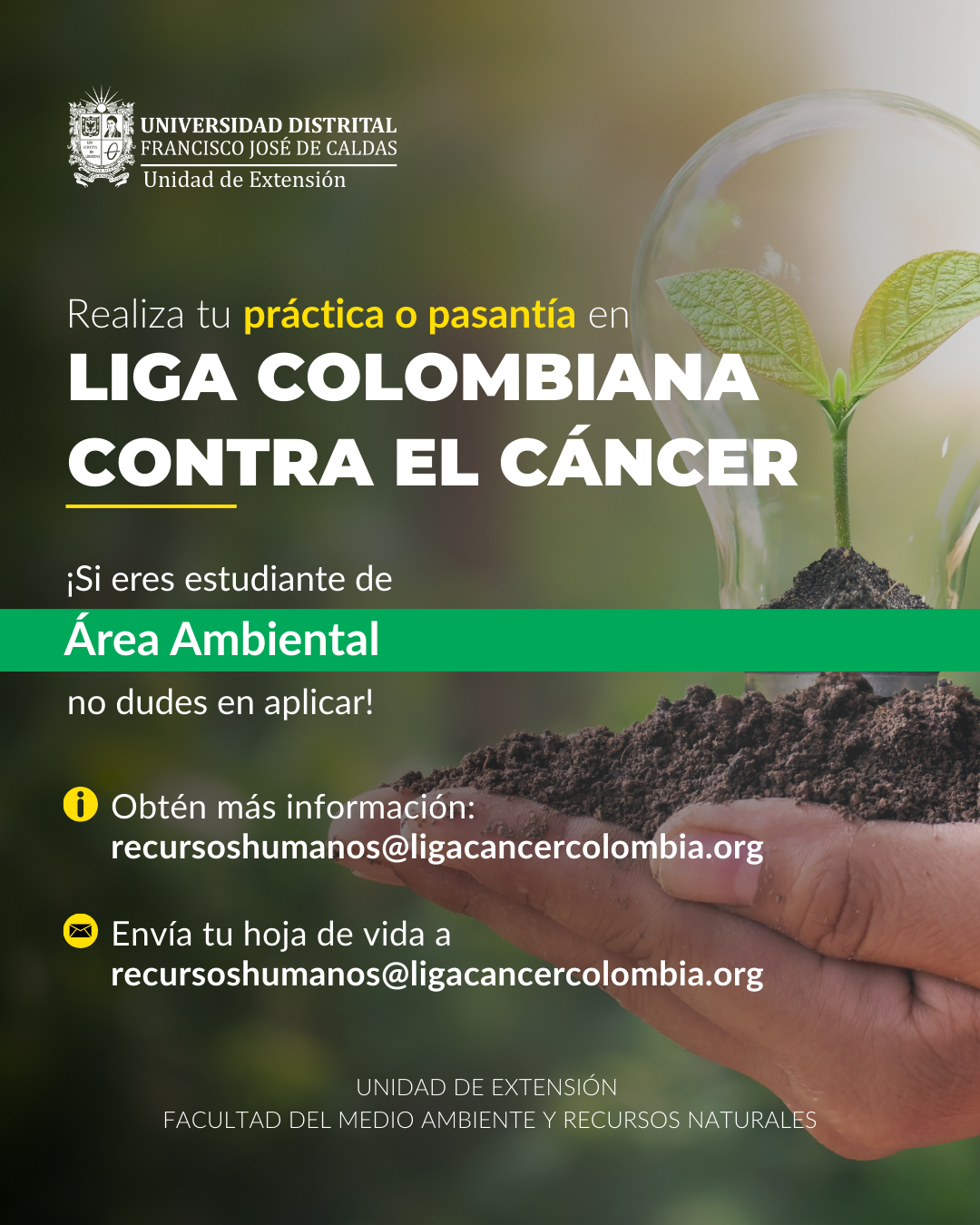 Imagen decorativa LIGA CONTRA EL CANCER